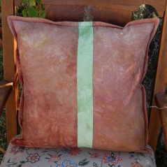 back-botanical-sketch-pillows