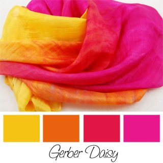 gerber-daisy-550