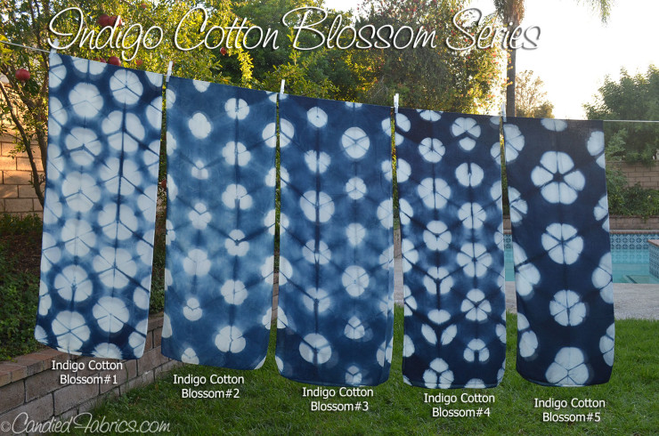 Indigo-Cotton-Blossom-0-all